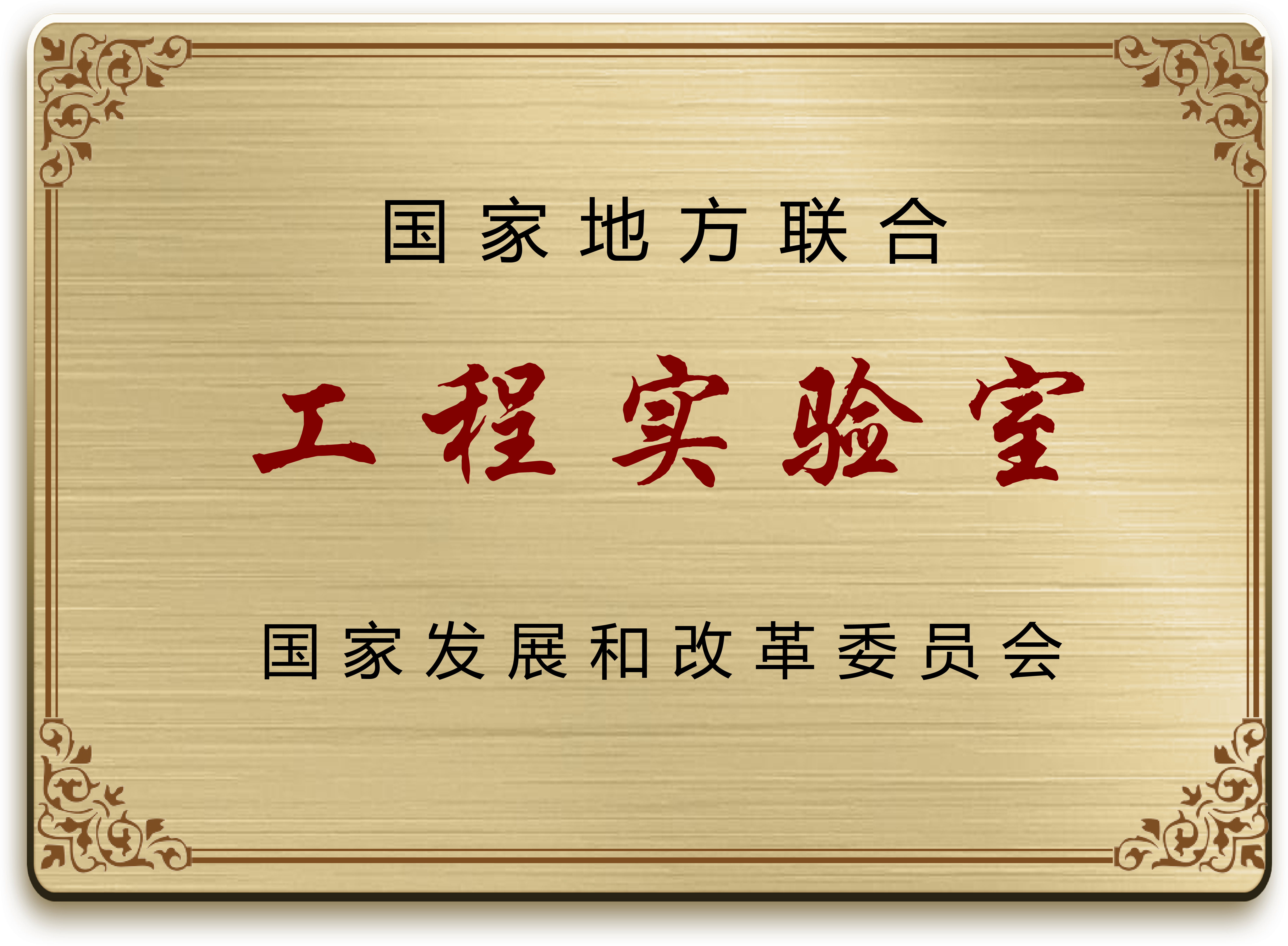 这是一张图片